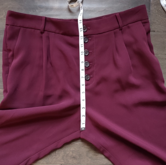 Anthropologie Sasha Button Fly Tapered Trouser Pants - Picture 12 of 14